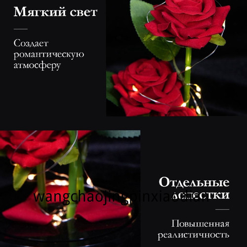 1780751889643.jpg