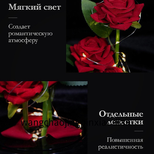 1780750913194.jpg