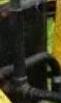 enlarged.jpg
