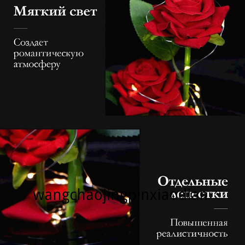 1780752019722.jpg