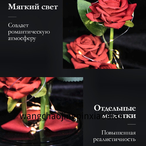 1780752348363.jpg