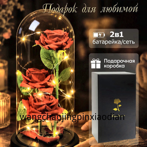 1780751206481.jpg