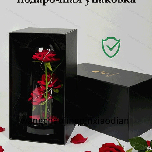 1780752083859.jpg