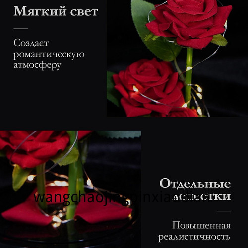 1780751515117.jpg