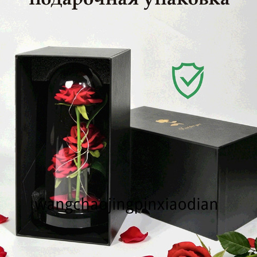 1780751598745.jpg