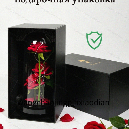 1780750057235.jpg