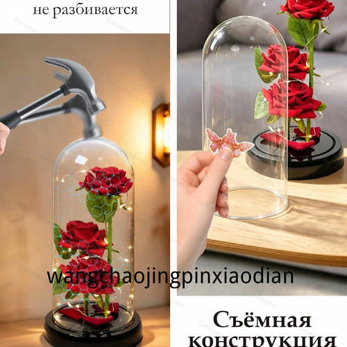 1780752276222.jpg
