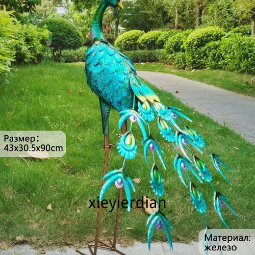 1780767215580.jpg