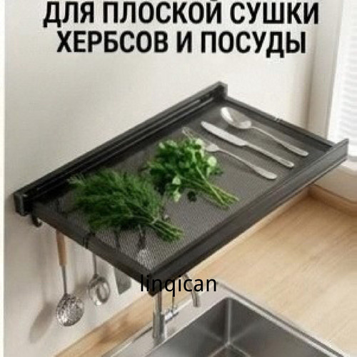 1780766445157.jpg