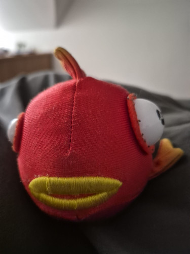 qdMgZ3x.jpg