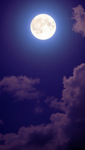 536e510bbd09.png