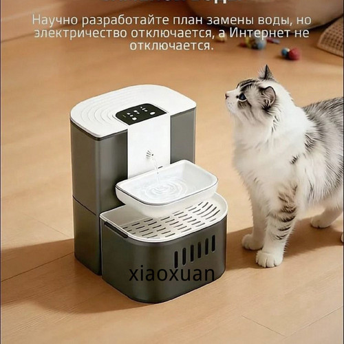 1780769181686.jpg