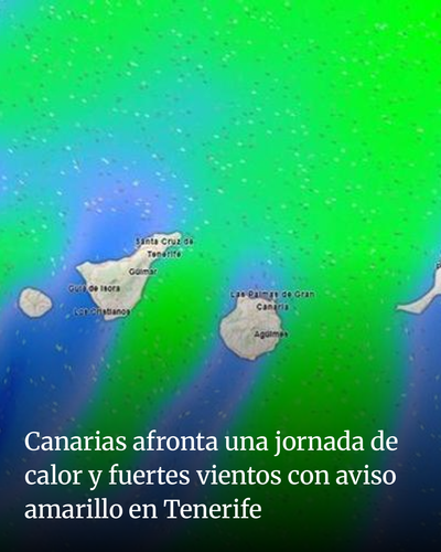 e991f5069855.png