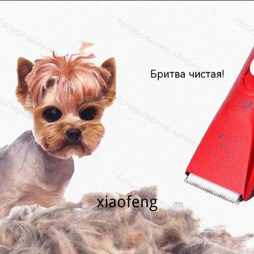 1780769792360.jpg