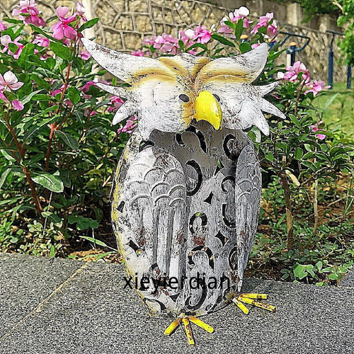 1780770377457.jpg