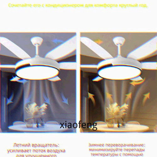 1780770432469.jpg