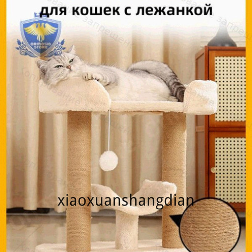 1780817764425.jpg