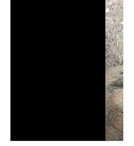 temp.png