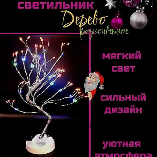 1780818856385.jpg
