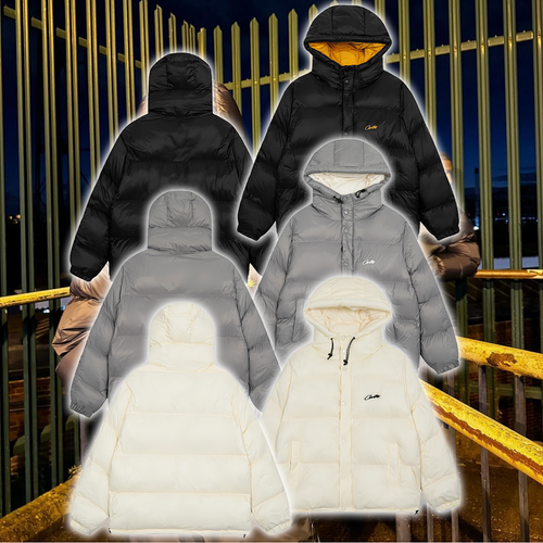 stannie searchapi 01jzhwqc.png
