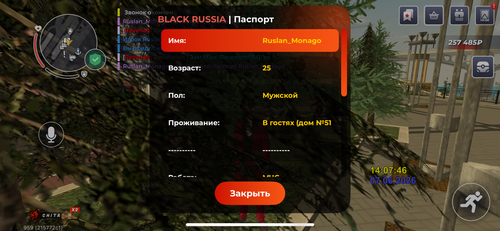 IMG 4547.png