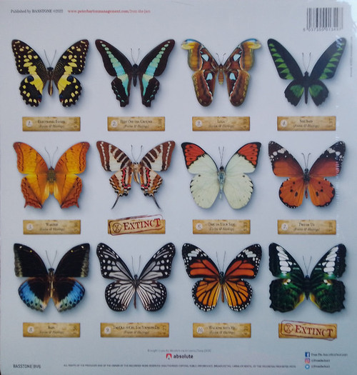 Foxton Hastings The Butterfly Effect lp 2.jpg