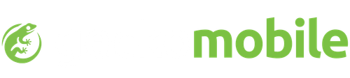 338c57fc9107.png
