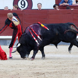 CfT8HRR.th.jpg