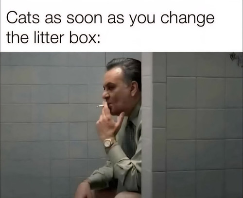 [Image: CfTF4pf.md.jpg]