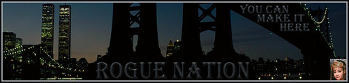 NYBrige Banner.jpg