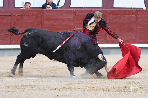 215A1468