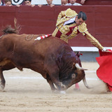 CfTvUKu.th.jpg