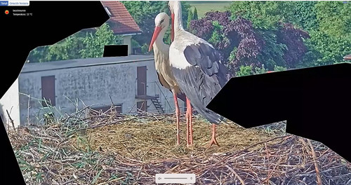 MWSnap769.jpg