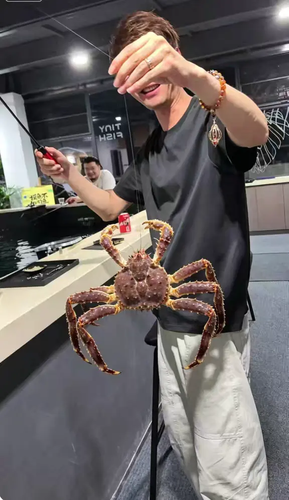 dy mon 1780755560757.png