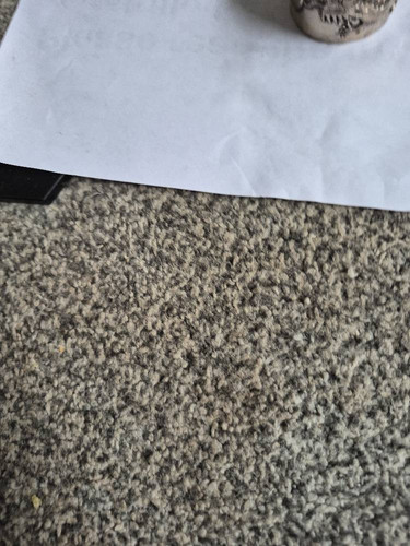 4f1a1826f968.jpg