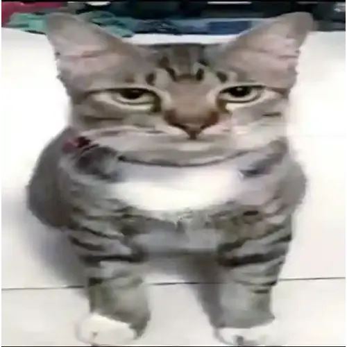 file.webp