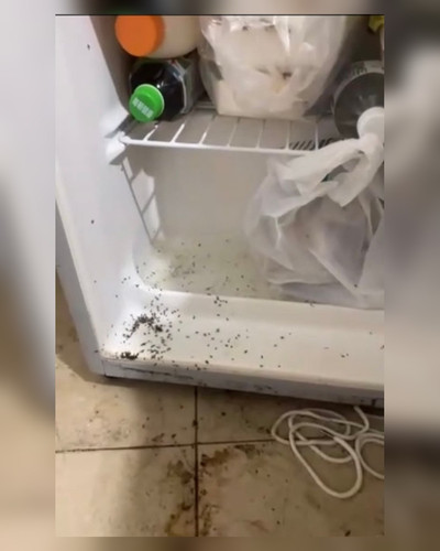 ig fridge 20260606 2254.jpg