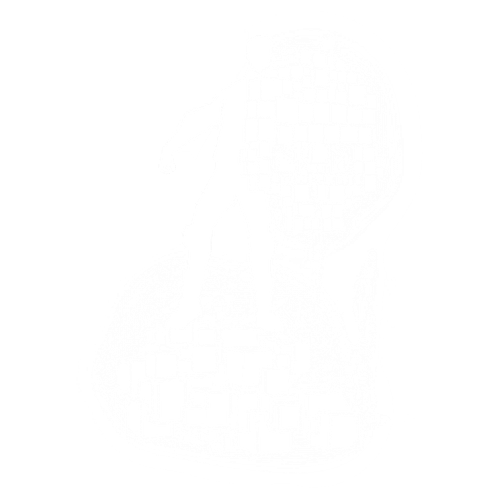 T AthenaEmotes VoyagerCuboid.png