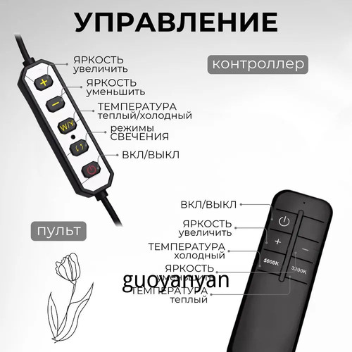 1780758364660.jpg