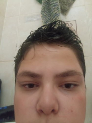 temp.png