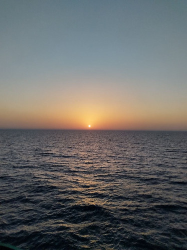 401880d336d9.jpg