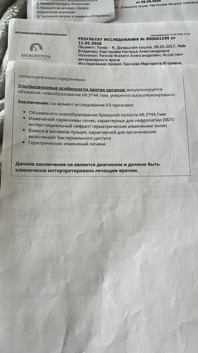 C415CC53 FE33 4A0D 9466 F14140D2ADB6.jpg