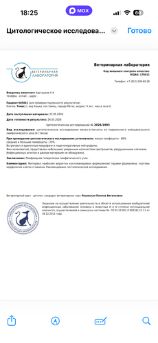 IMG 0692.png