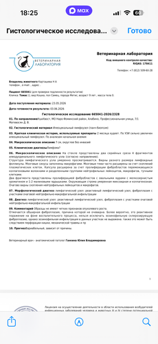 IMG 0691.png