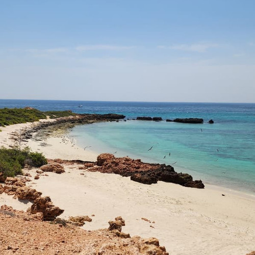 Best Sea Tours in Oman for Unforgettable Adventures.jpg