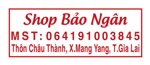 bao ngan.jpg