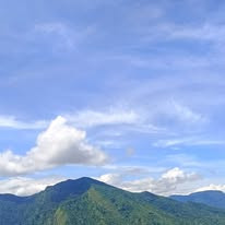 125b337e3330.jpg