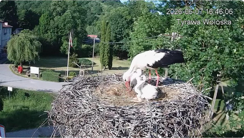 MWSnap279.jpg
