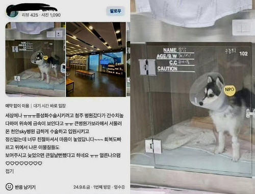 IMG 7697.jpg