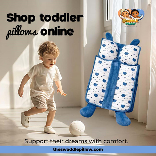 Shop Toddler Pillows Online.jpg